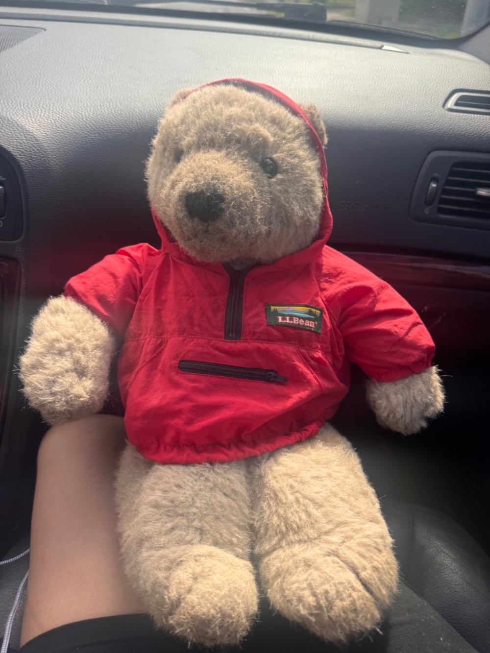 vintage 1982 Charm Co. teddy bear wearing an authentic L.L.Bean half-zip anorak/